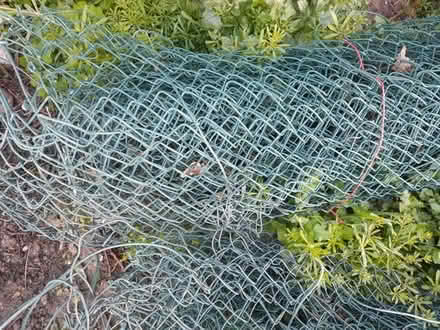 Photo of free Wire fencing (Burnham on Crouch) #1