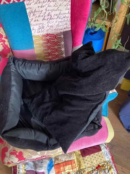 Photo of free Comfortable dog bed (Elson PO12) #2