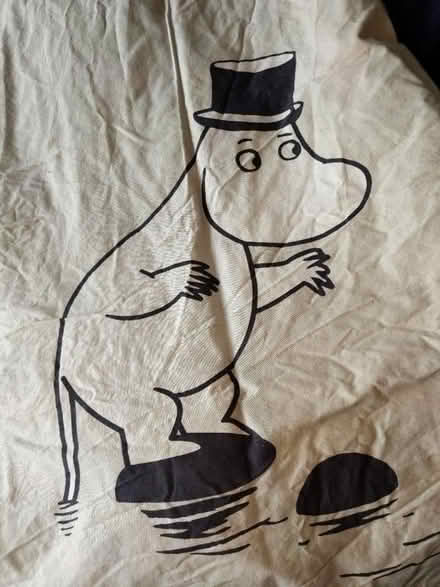 Photo of free Moomins single quilt set (Cassiobury, Watford WD17) #3
