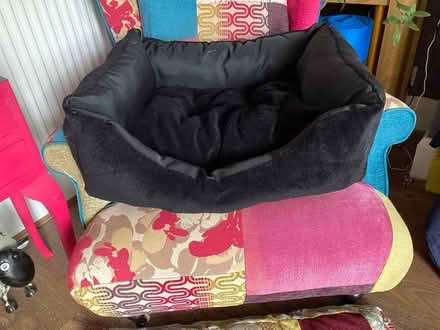 Photo of free Comfortable dog bed (Elson PO12) #1