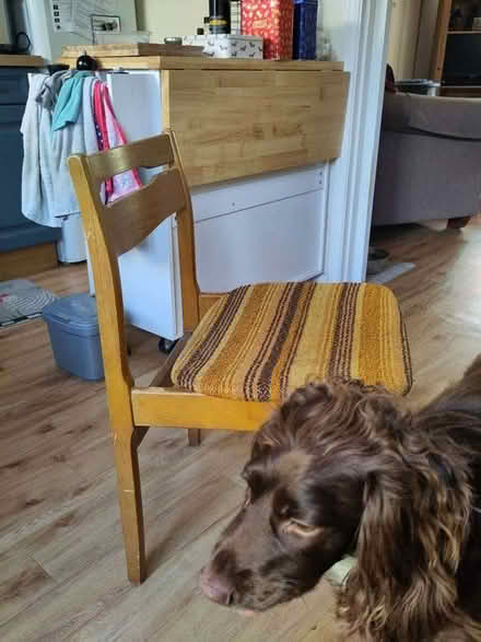 Photo of free Dining/ kitchen chairs (The Plantation GL5) #3