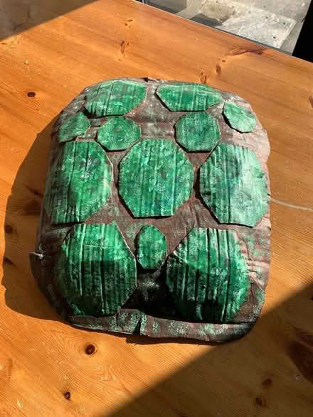 Photo of free Ninja turtle shell (Aintree Village L10) #1