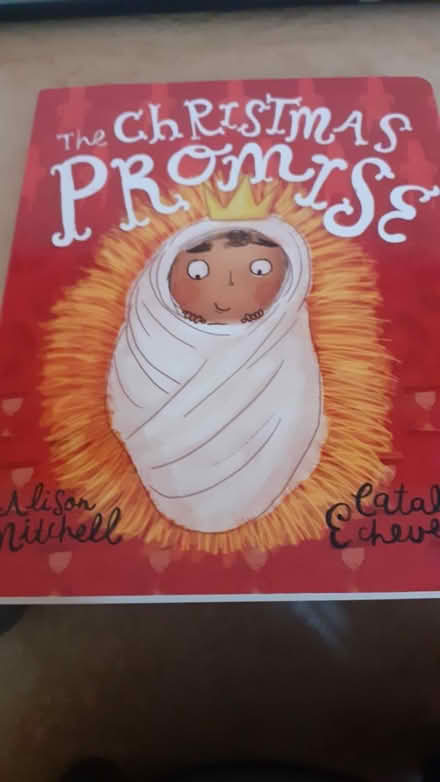Photo of free The Christmas Promise Board Book (Loosley Row HP27) #1