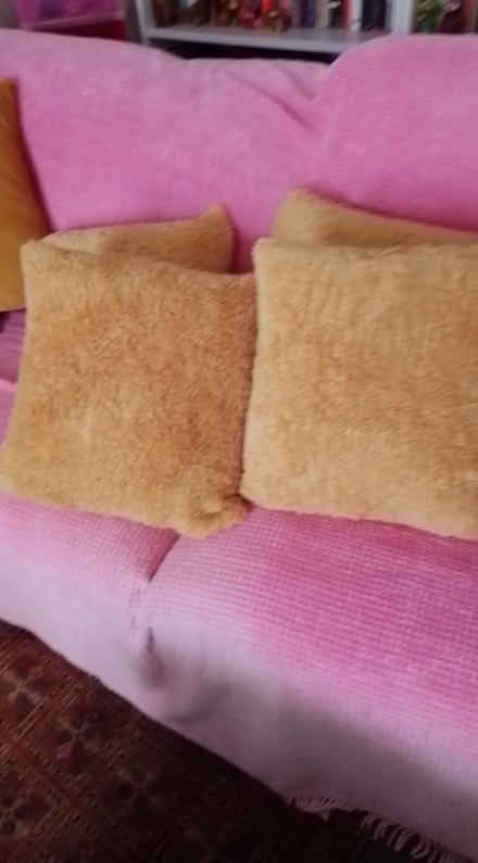 Photo of free Teddy cushions (Bidston Moss CH43) #1