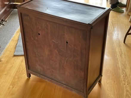 Photo of free Darkwood Storage Cupboard (NW Chichester) #3