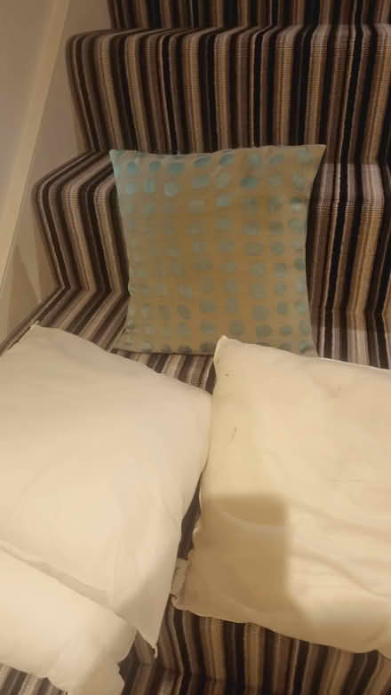 Photo of free 4 small cushion pads (SW8 Vauxhall) #1