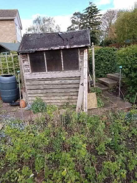 Photo of free Garden shed (Aslockton NG13) #1