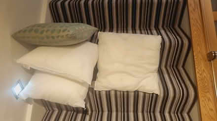 Photo of free 4 small cushion pads (SW8 Vauxhall) #2