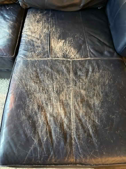 Photo of free Blue leather sofa (Aptos Village) #3