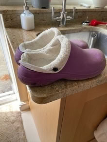 Photo of free Fleece lined garden clogs (The Hockering GU22) #1