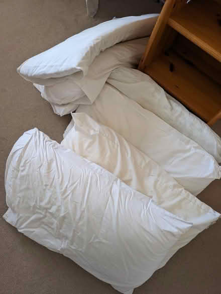Photo of free Pillows x 6 (Lawley TF4) #1
