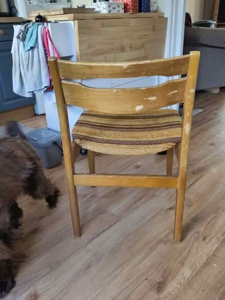 Photo of free Dining/ kitchen chairs (The Plantation GL5) #2