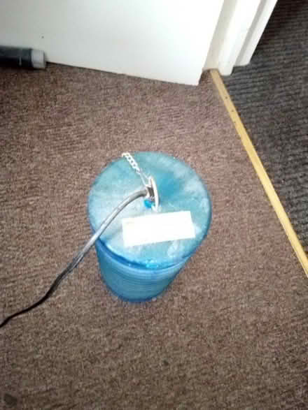 Photo of free Insect Catcher (CT9) #1