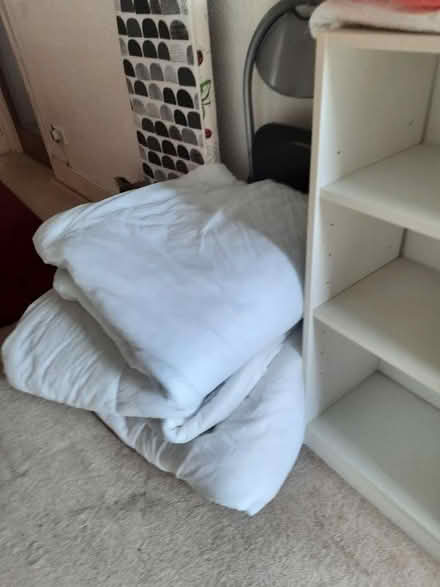Photo of free 4 single duvets (TQ3) #1