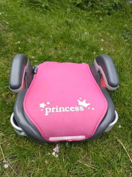 Photo of free Princess Booster Seat (Morley St Botolph NR18) #1
