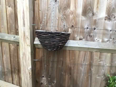 Photo of free hanging basket (Abingdon-on-Thames OX14) #1