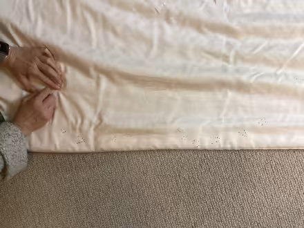 Photo of free Pair of long floral curtains (Marston Magna BA22) #4