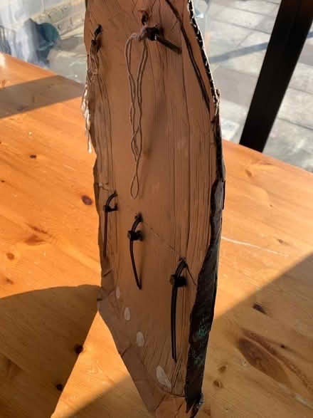 Photo of free Ninja turtle shell (Aintree Village L10) #2