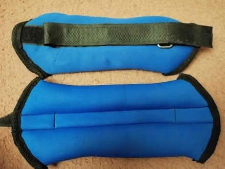 Photo of free Ankle and Wrist weights (Whitehall) #1