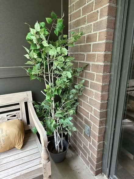 Photo of free Faux tree in planter 5’ (McLean, VA) #1