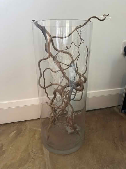 Photo of free Large Glass Cylinder Vase (Halifax) #1