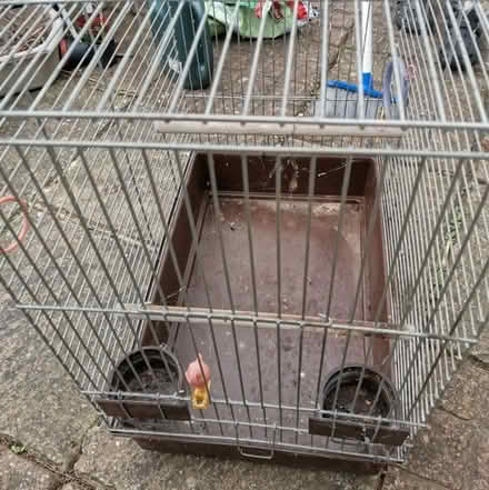 Photo of free Bird Cage (Huntingdon PE29) #4