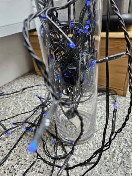 Photo of free Blue mains powered fairy lights (Edinburgh EH6) #2
