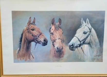 Photo of free Four framed prints (M33) #4