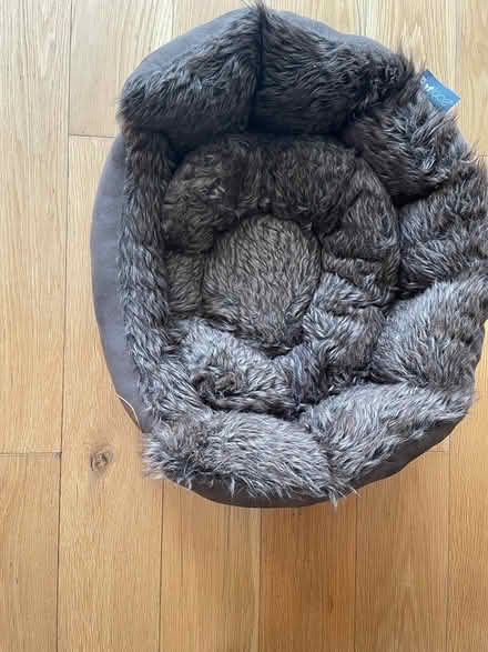 Photo of free Dog Bed (Sunbury TW16) #1