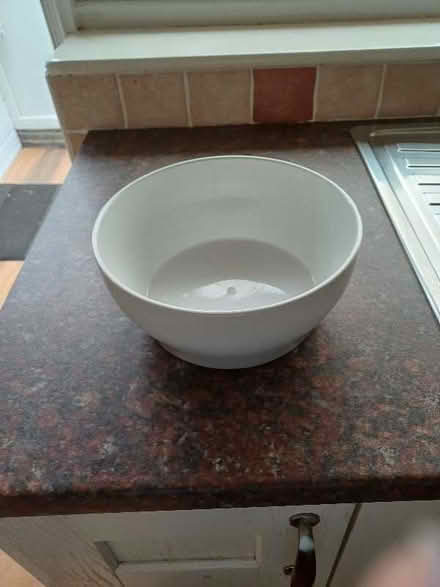 Photo of free Ceramic bowl (Marldon TQ3) #1