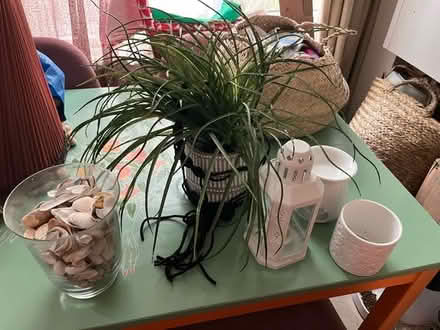 Photo of free Home decor (N17, London) #1