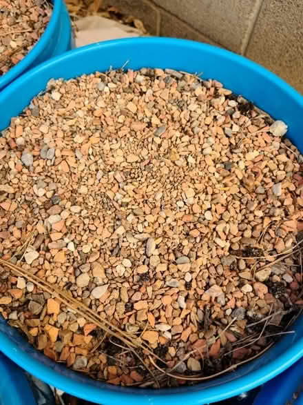 Photo of free Landscaping gravel (Northeast Heights) #2