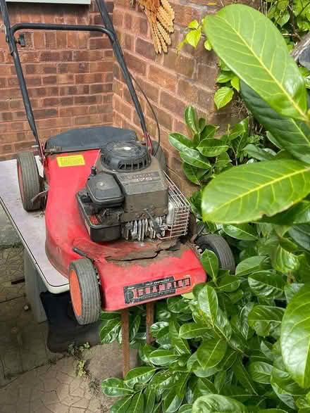 Photo of free Petrol mower (Northwich Cheshire CW9) #1