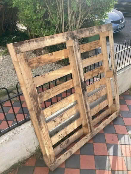 Photo of free Large pallet 4ft x 4ft (Hither Green SE13) #1