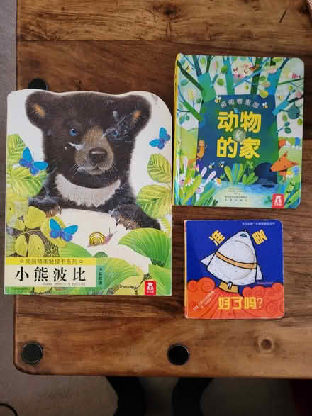 Photo of free Baby/toddler books in Chinese (Edmonton, N18) #1