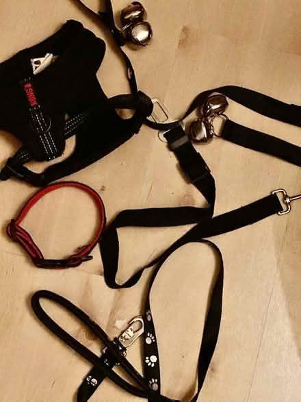 Photo of free Puppy/small dog stuff (Old Basford NG6) #1