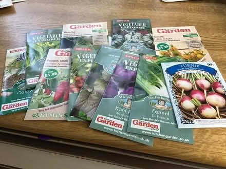 Photo of free Old seeds (Shoreham-by-Sea BN43) #1