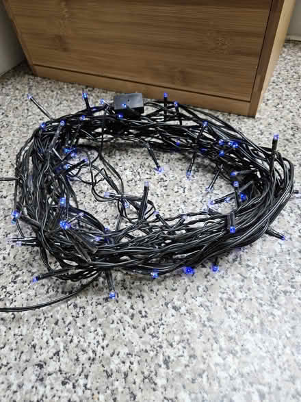 Photo of free Blue mains powered fairy lights (Edinburgh EH6) #1