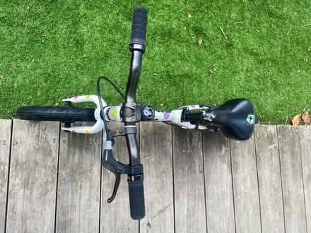 Photo of free Frog tadpole balance bike (SW12) #2