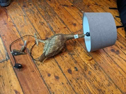 Photo of free Goose-shaped lamp (Turnpike Lane N15) #1