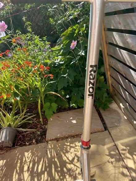 Photo of free Stunt scooter (Brook End SG5) #2