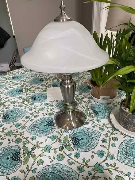 Photo of free Lamp (Irving Park and Bartlett Rd) #1