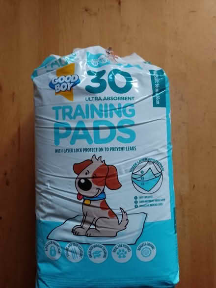 Photo of free Pack of Puppy Training Pads (Treuddyn CH7) #1