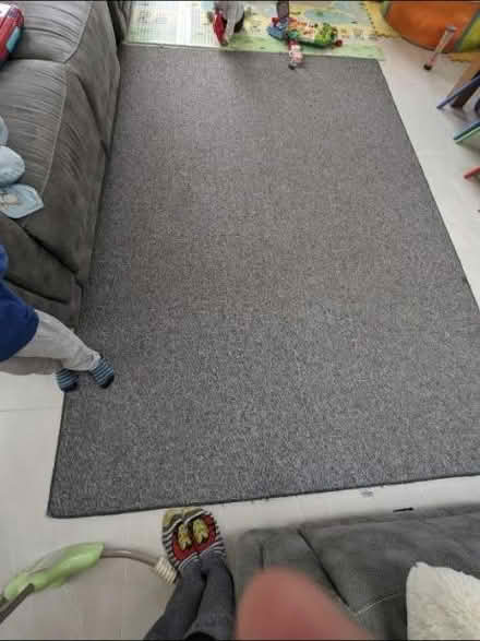 Photo of free Grey rug (HA7 Stanmore) #1
