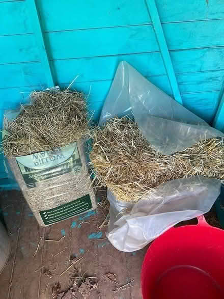 Photo of free Part Opened Animal Bedding (Taunton TA2 Kingston St Mary) #1