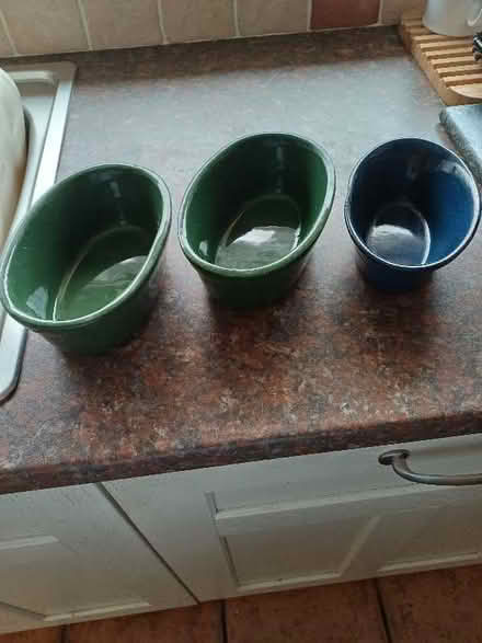 Photo of free Pie dishes 2 green and one blue (Marldon TQ3) #1