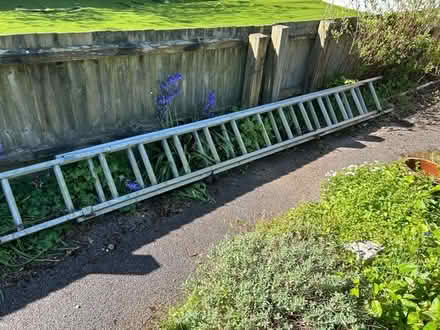 Photo of free Long extending aluminium ladder (Charminster) #1