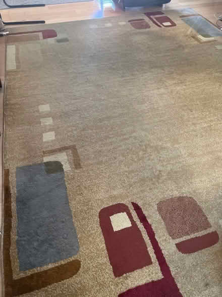Photo of free Area Rug (San Jose) #3