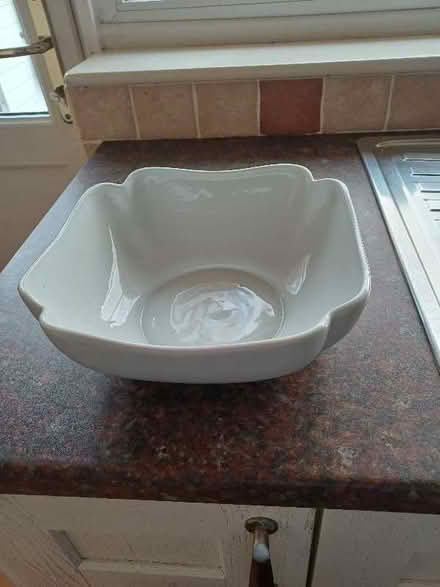 Photo of free Ceramic white bowl (Marldon TQ3) #1