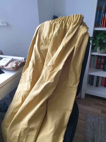 Photo of free Yellow pair of curtains (E5) #1